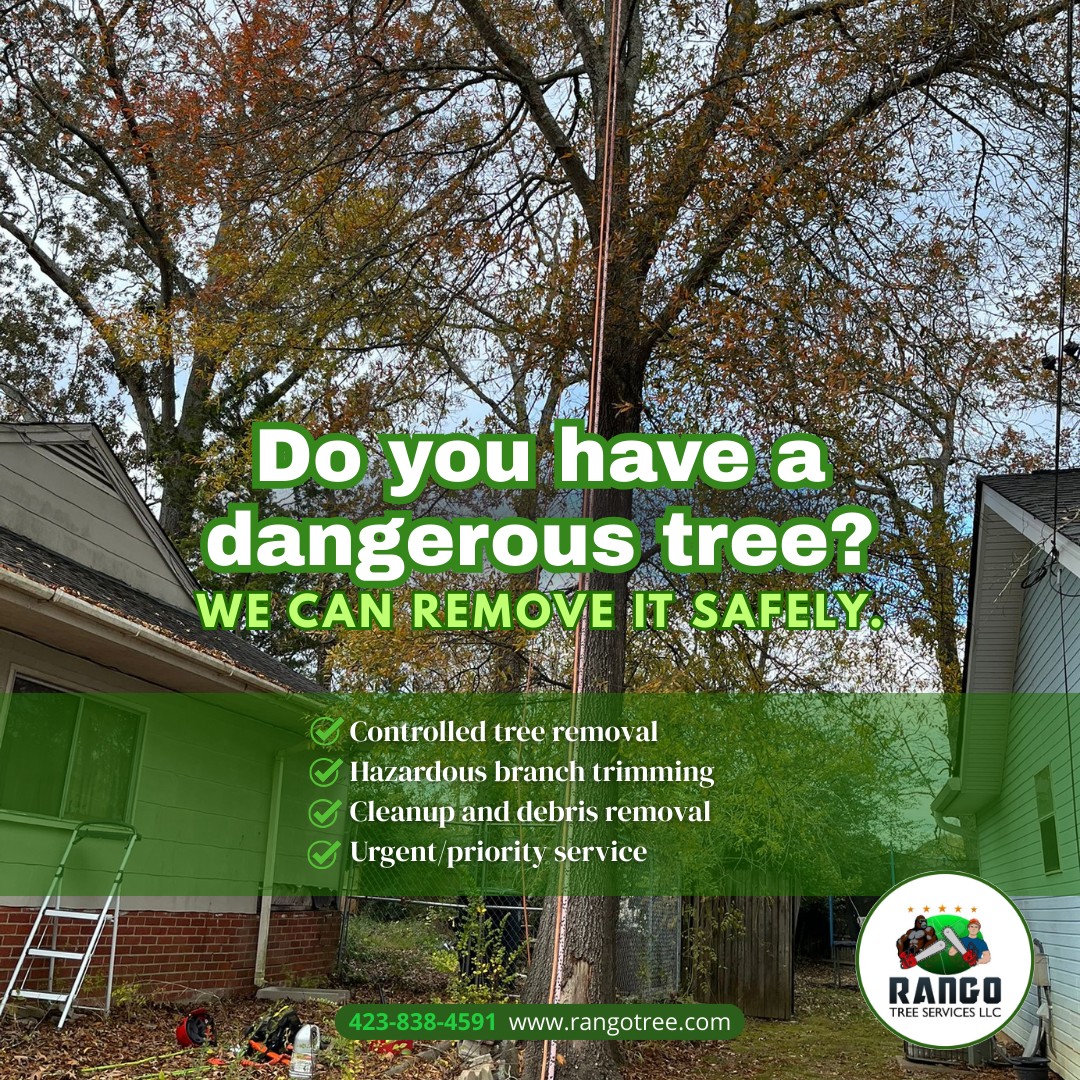 Rango Tree Services LLC | Chattanooga TN