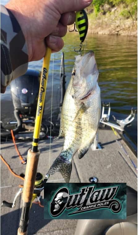 crappy fishing poles near westland mi APACHE PANFISH (cane pole) – Hook and Arrow 8 or 10 lb B'n'M Black Widow Telescopic Crappie