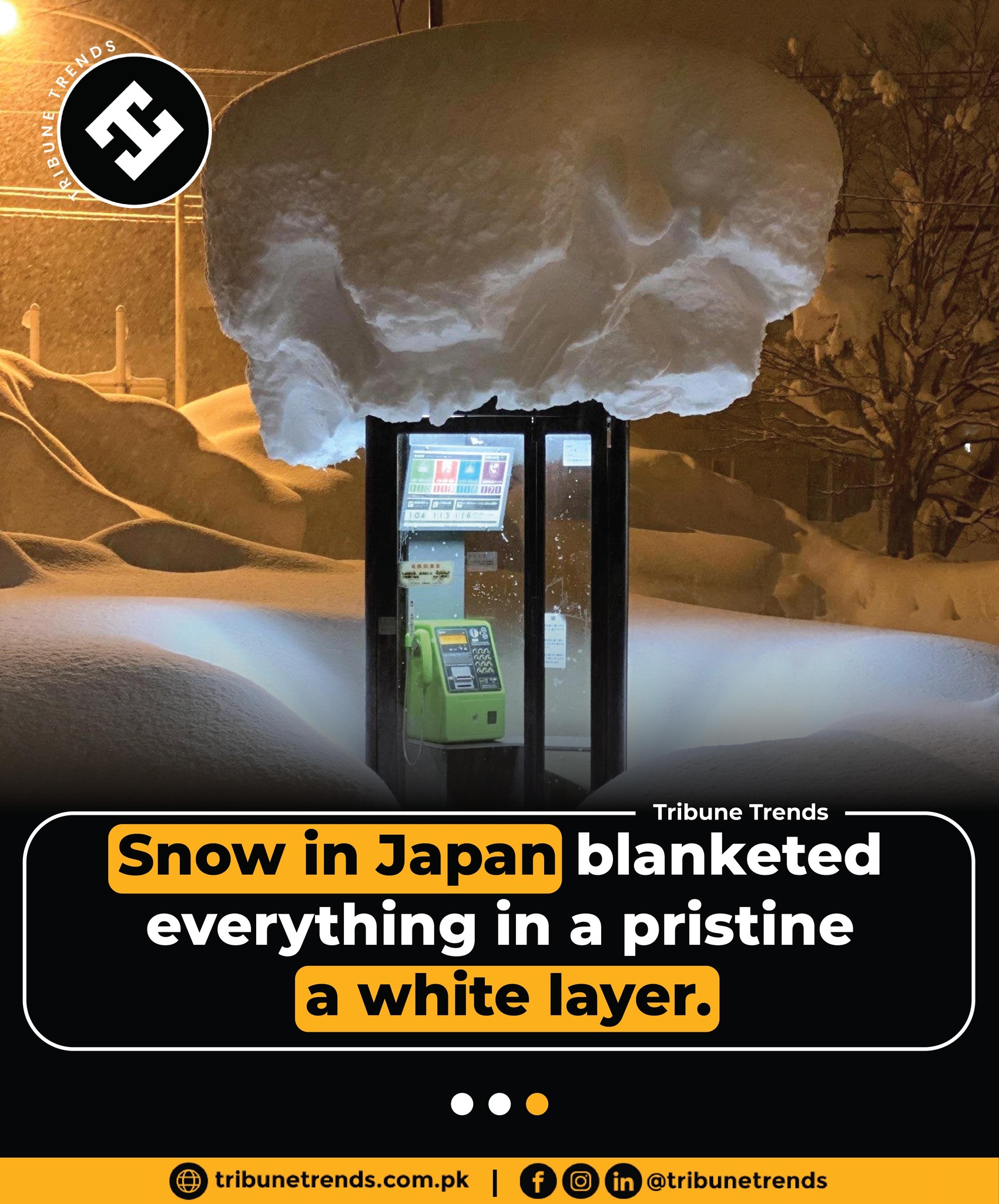 雪のひかり様ご確認ページ 日本雪景
