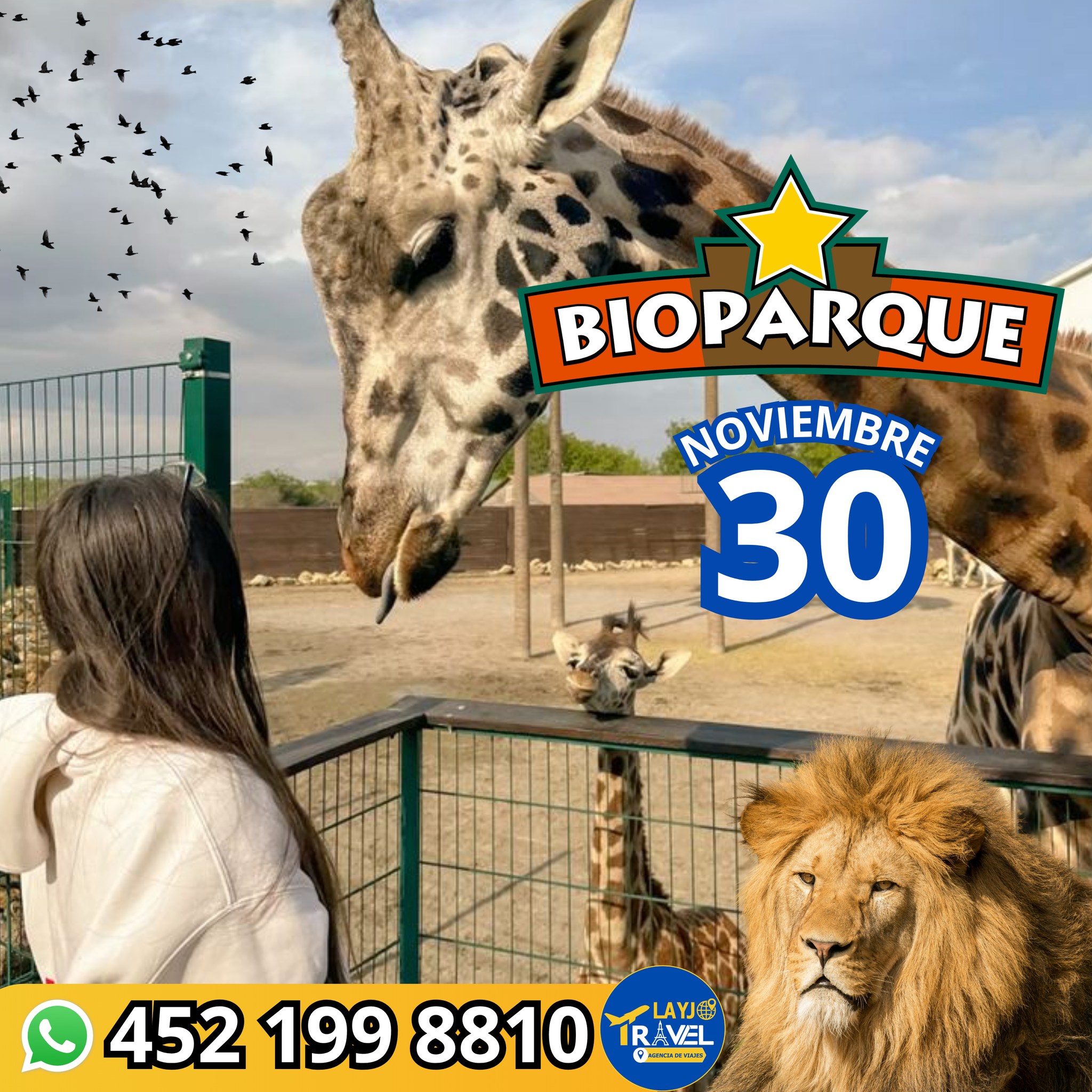 Layjo - 🐒🦕🦫𝑩𝒊𝒐𝒑𝒂𝒓𝒒𝒖𝒆 𝑬𝒔𝒕𝒓𝒆𝒍𝒍𝒂 🐘🦒🦖 ¿Ya conoces este magico lugar? 🌟 🦓 ...