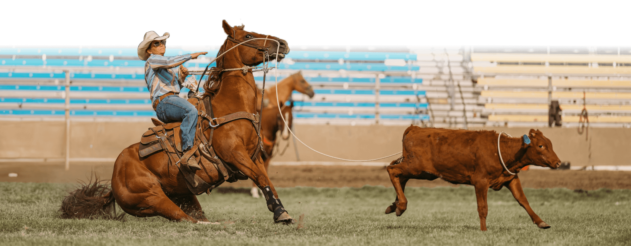 Elite Breakaway Roping | Harrisburg OR
