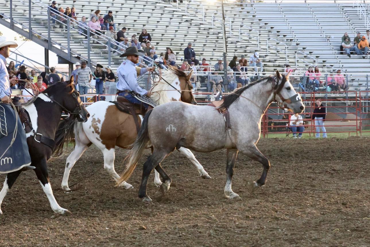 Timber City Pro Rodeo added a new... - Timber City Pro Rodeo