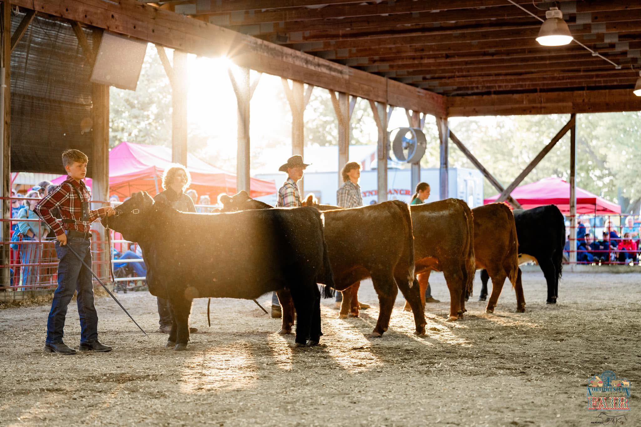 NWMI Livestock Council Beef Program