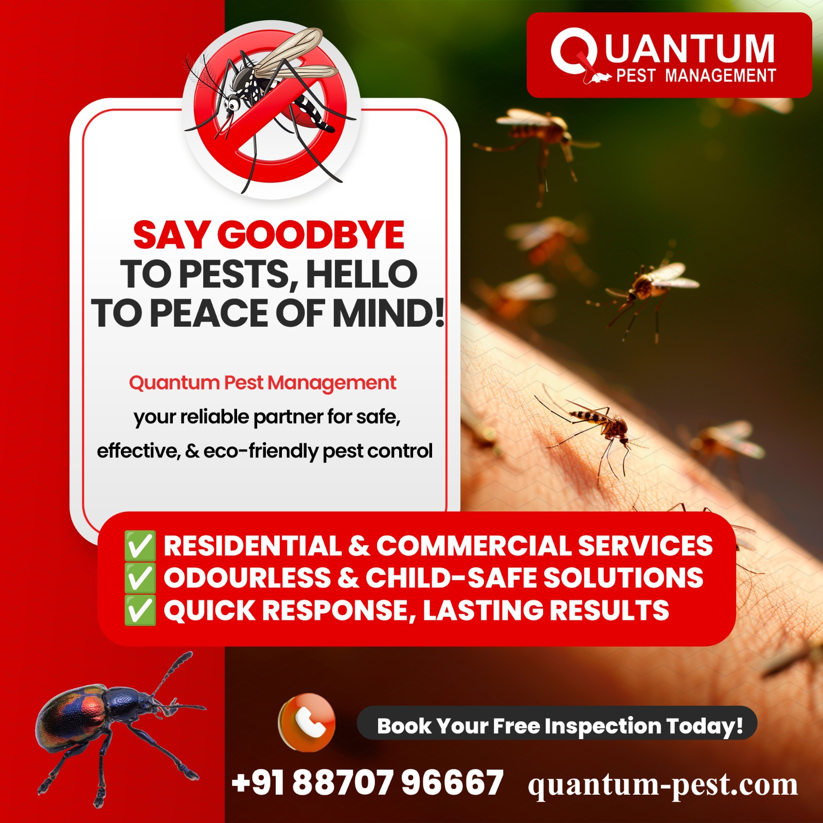 🚫 Say Goodbye to Pests, Hello to... - Quantum Pest Management | Facebook