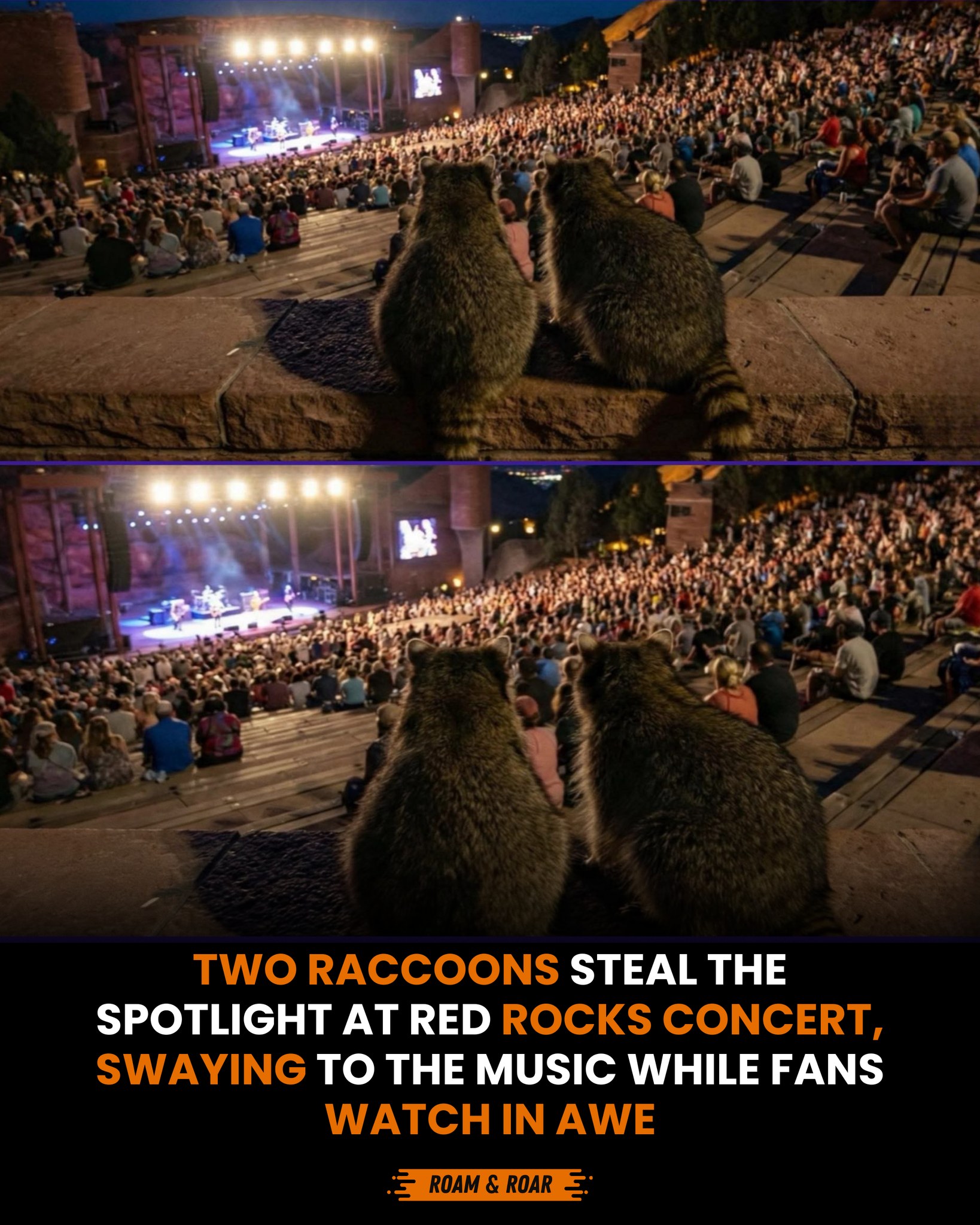 Roam & Roar - Fans at Red Rocks Amphitheater near Denver... | Facebook