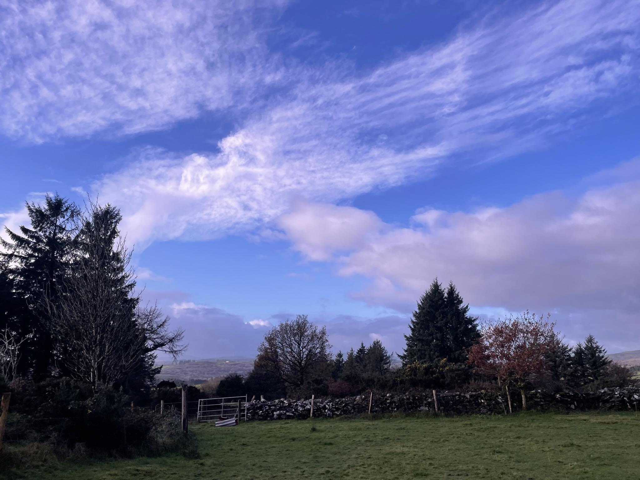 Infinity Ranch Ireland | Macroom
