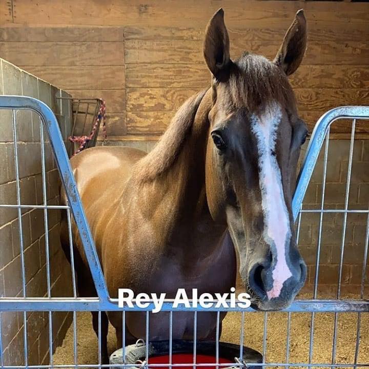 MID WEST Racing - EL REY ALEXIS Y EL SEÑOR MENCHO 🔥🔥🔥 | Facebook