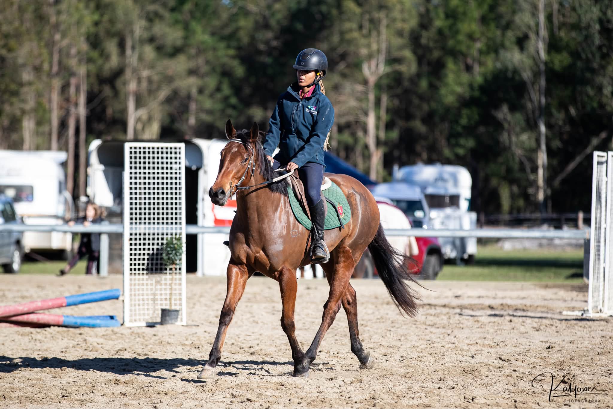 🌟 3YO 15.3hh Bay Mare — OTT, Quiet & Showjumping Potential 🌟