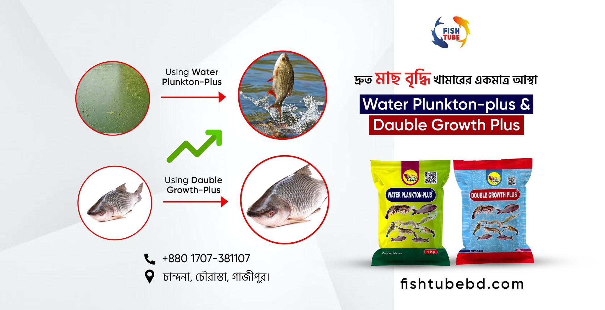FISH TUBE | Gazipur