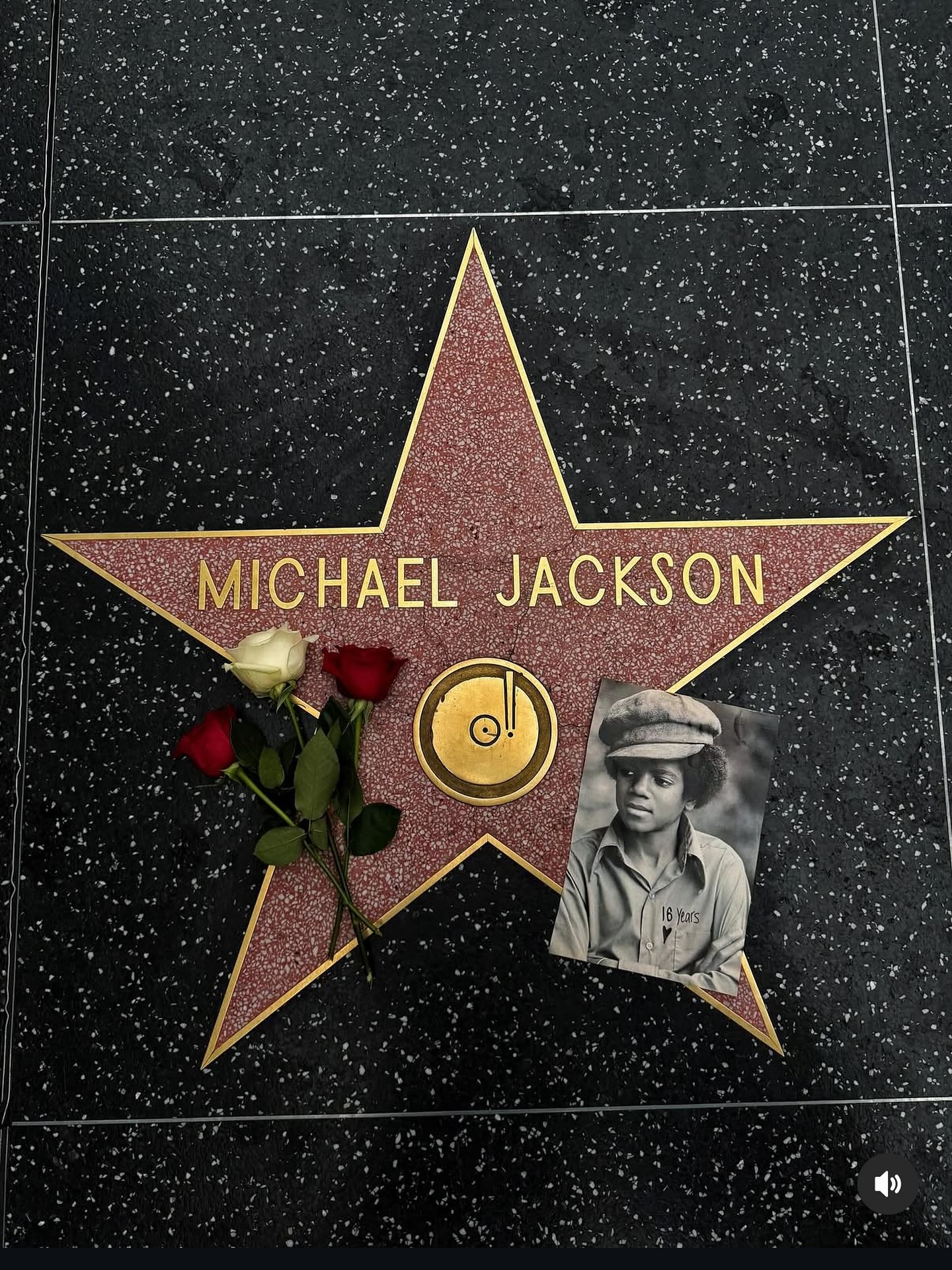 スタータイル　Michael Jackson Walk of Fame スタータイルMichael Jackson Walk of Fame
