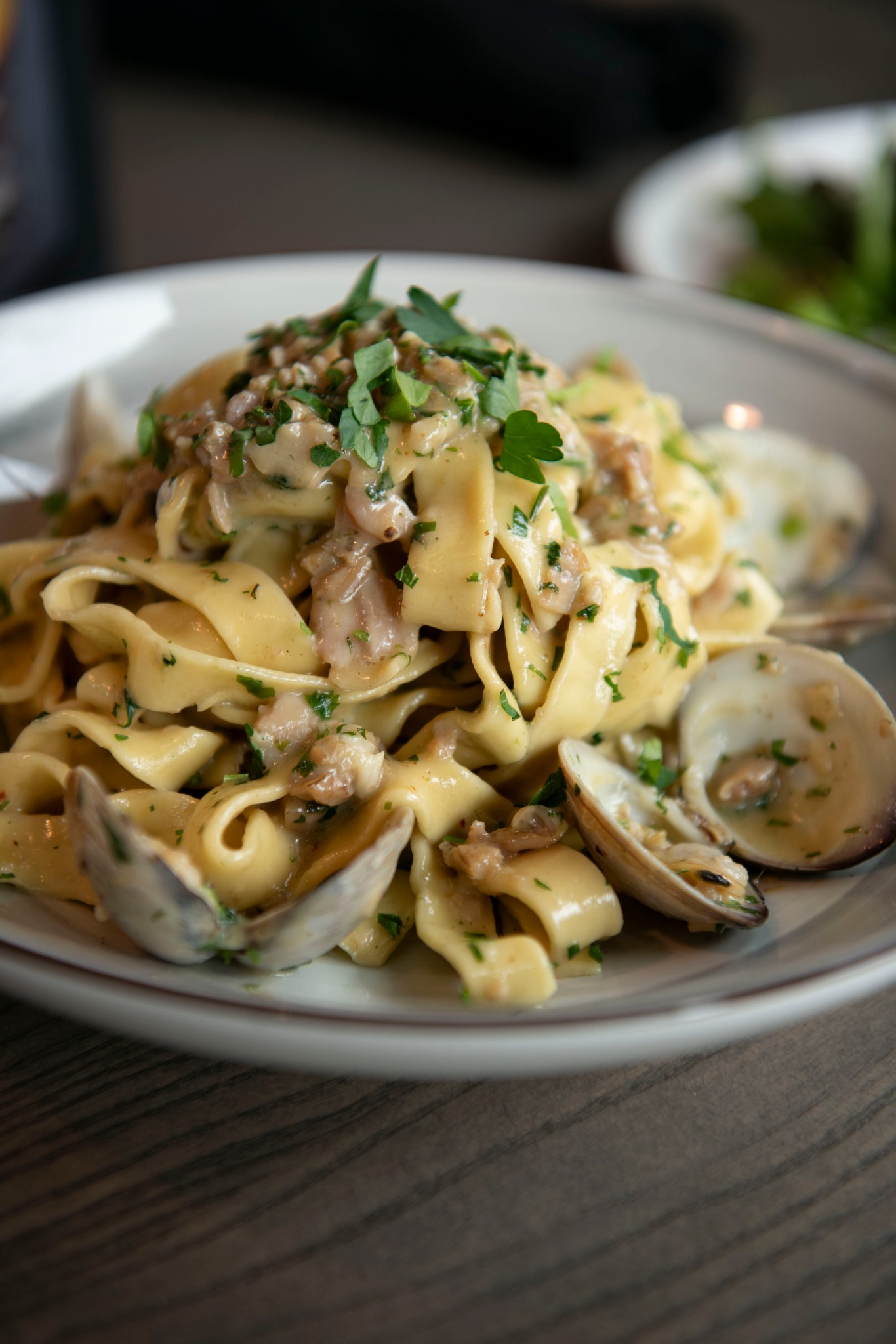 SPECIAL!!! Fettuccine Vongole (white clam sauce) // garlic
