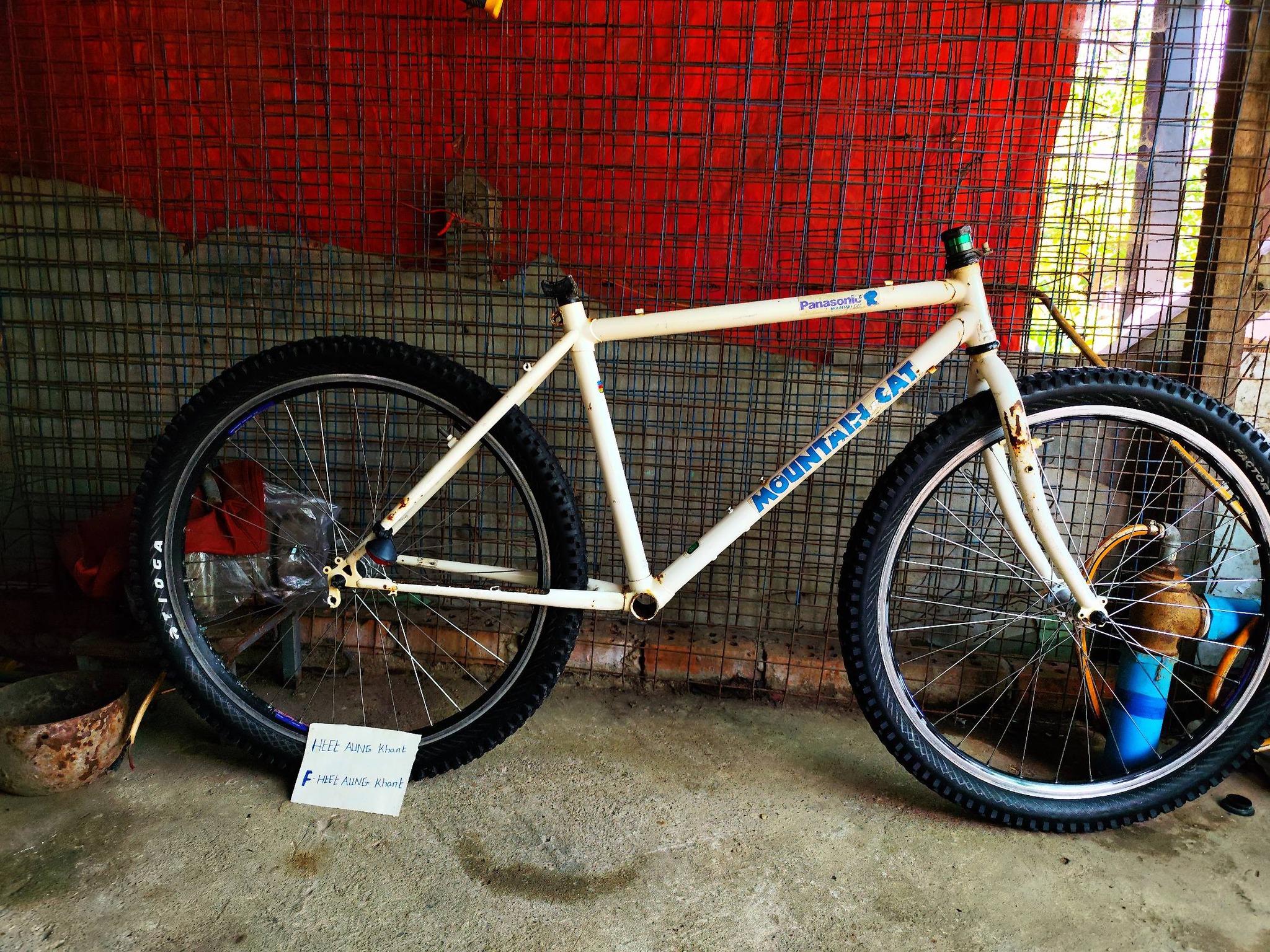 Panasonic MC-Zero Special Version Mountain Cat bike review