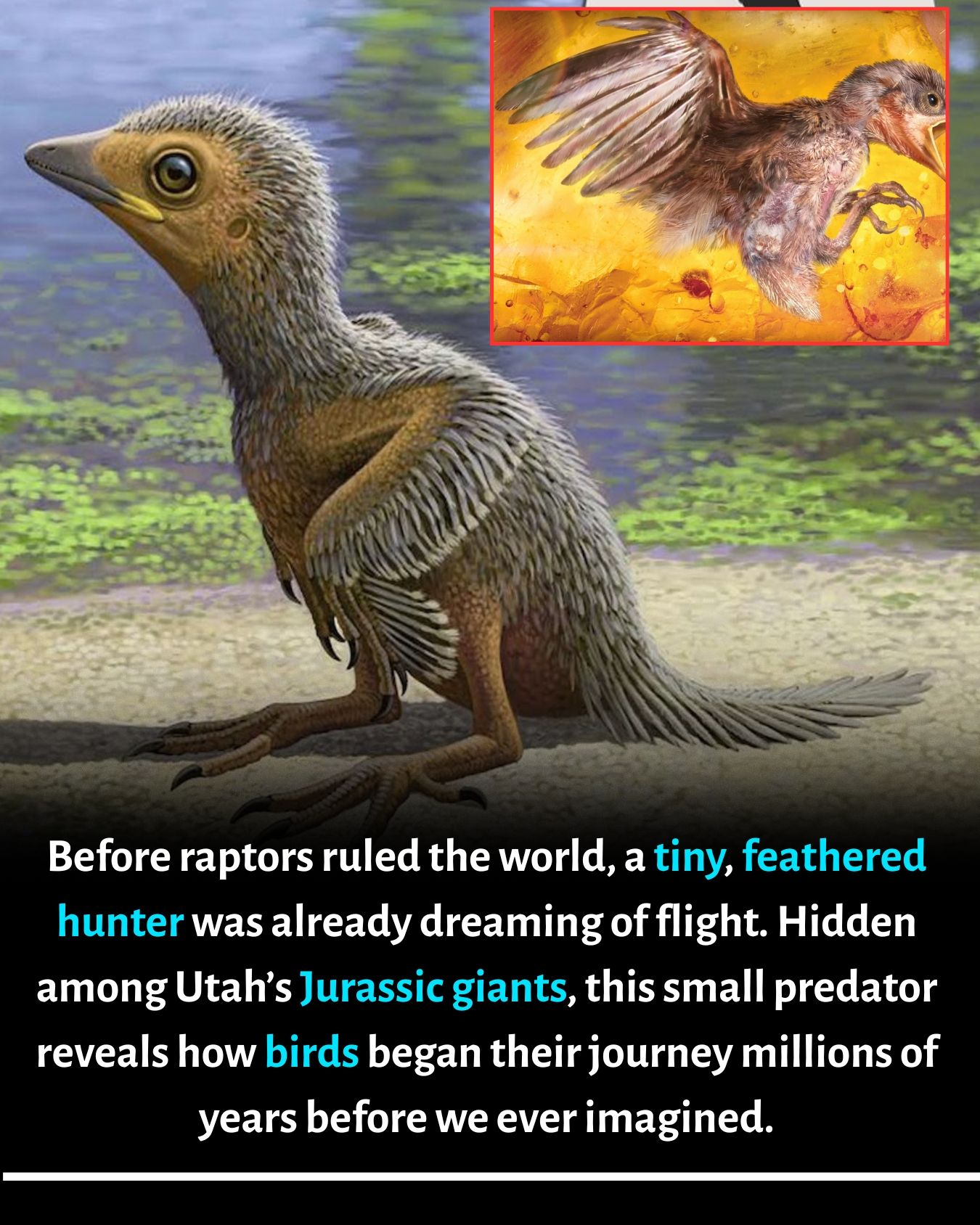 Peter - 🦅 Before raptors ruled, a tiny hunter was already dreaming of ...
