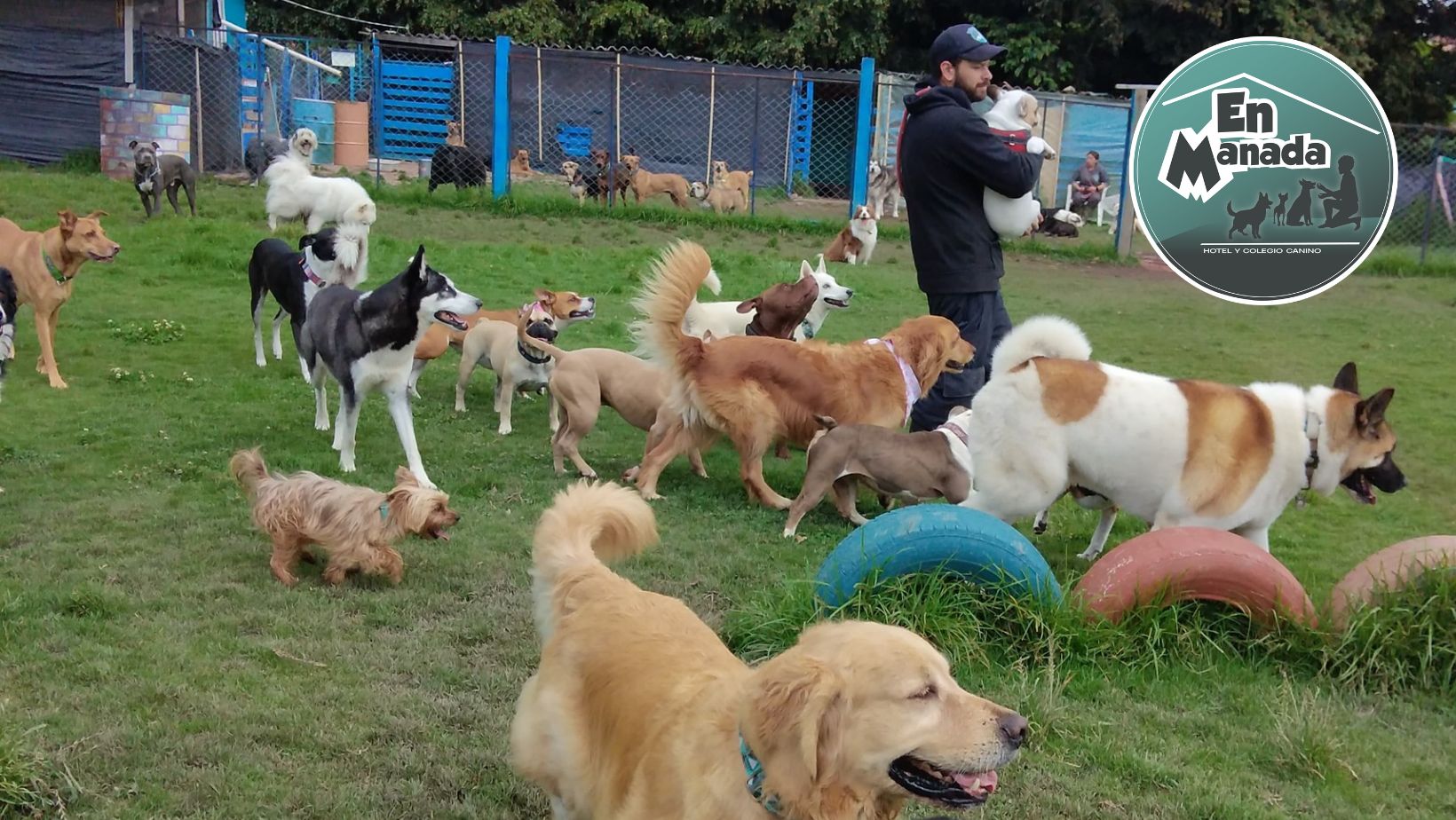 Guarderia Canina... - Guarderia Canina Perros Traviesos