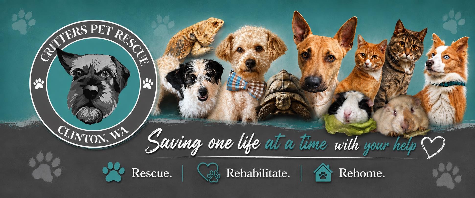 Critters Pet Rescue | Clinton WA