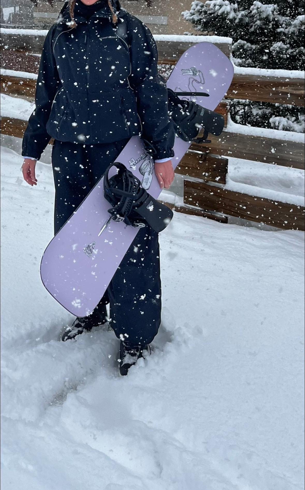 158 ride snowboard with owl on it 2016 Navigator Miles Fallon LTD GNU Gremlin Snowboard | GNU