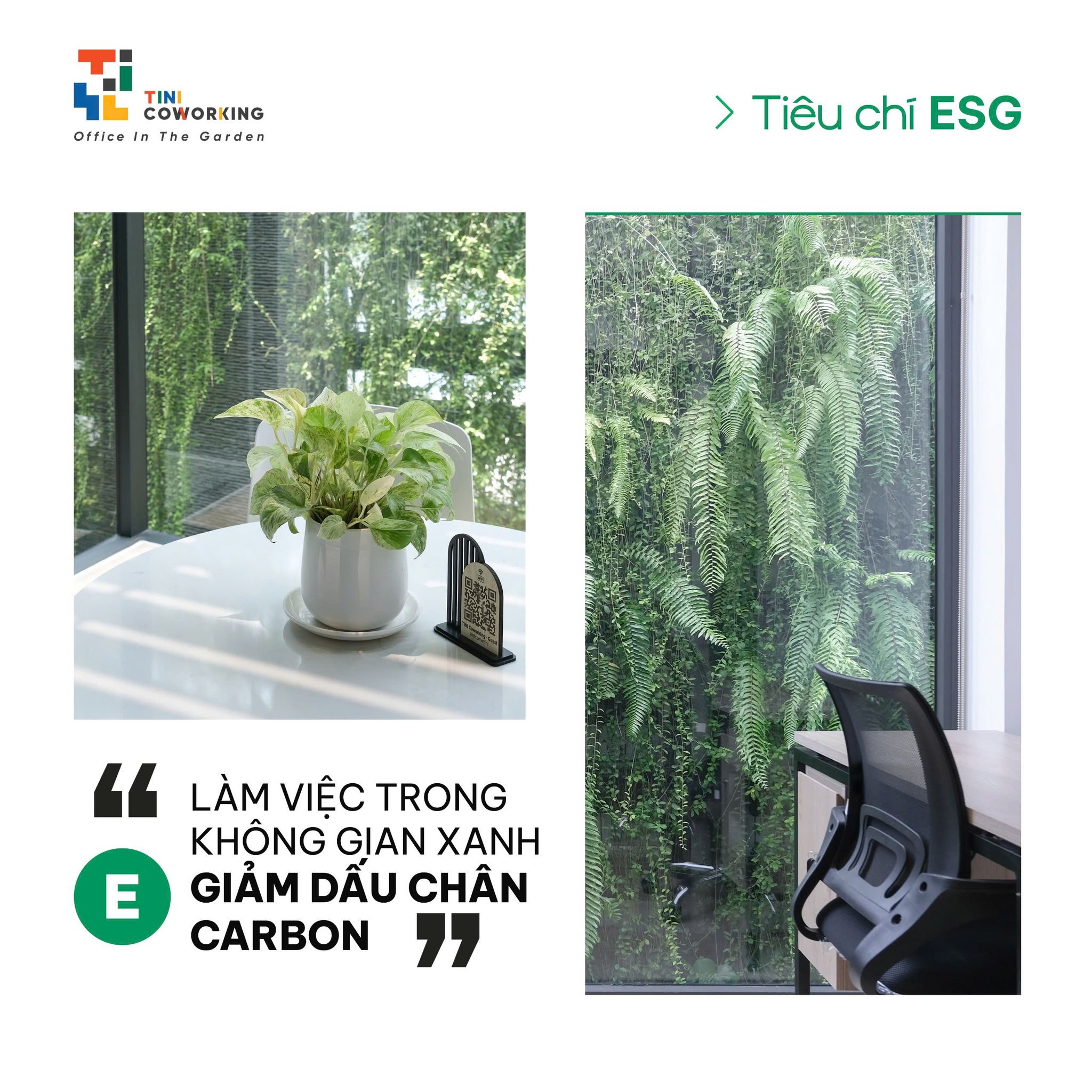TINI - 🌿 TINI Coworking & Tiêu chuẩn E – Làm việc trong không gian xanh ...