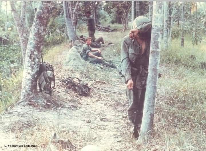 Vietnam - FEBRUARY 28TH 1969 -A RADIO OPERATOR RTO RESTS AGAINST A TREE ...