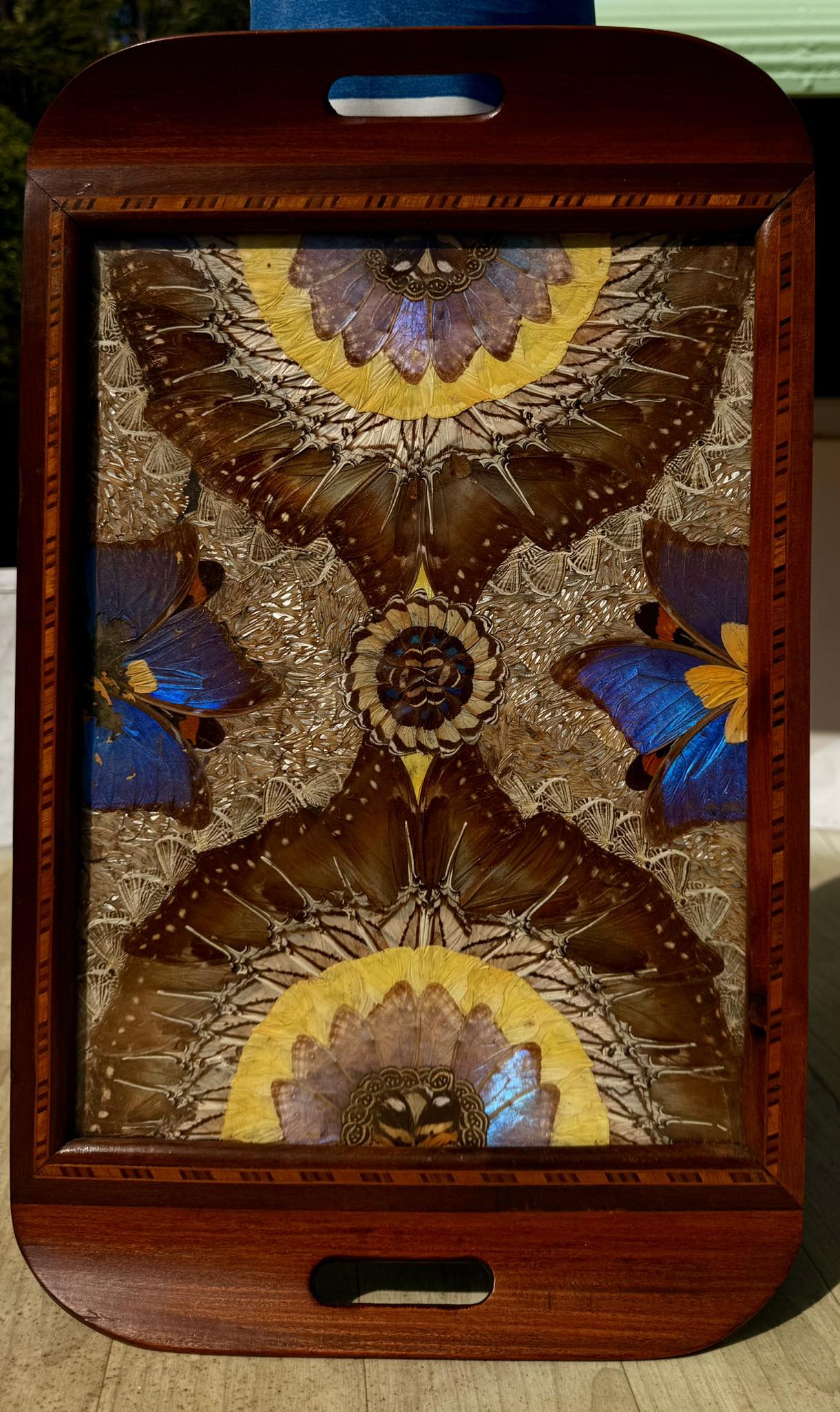 Butterfly wing trays from Venezuela, 1934