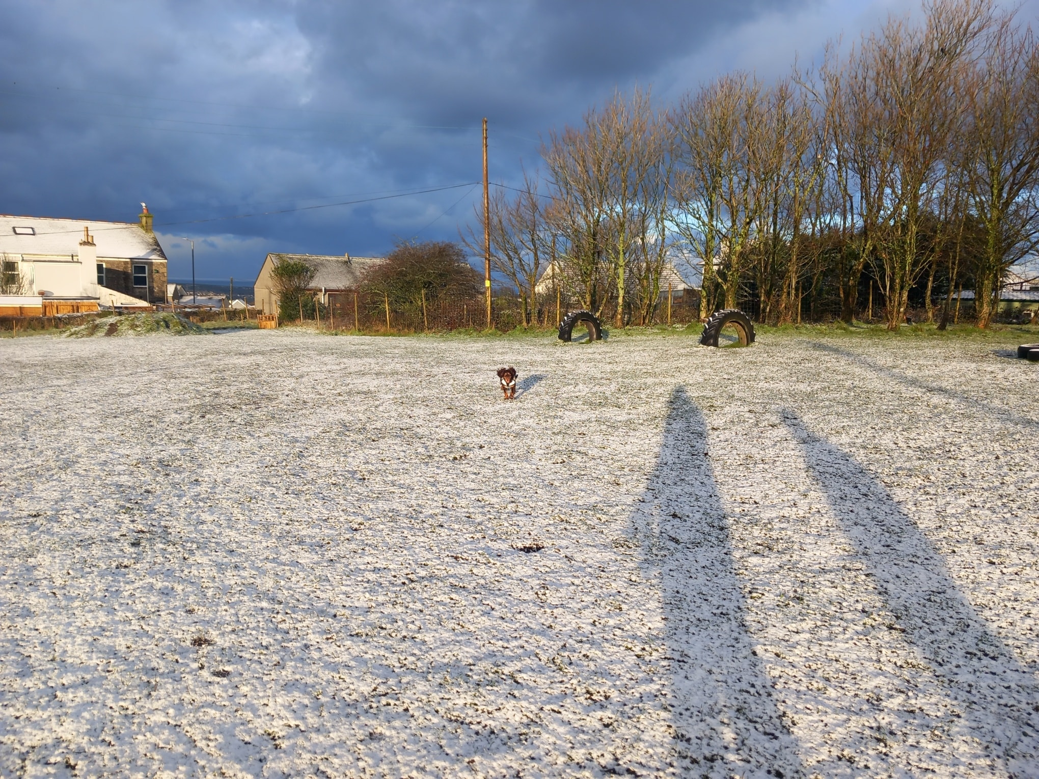 Channel View Dog Paddock | Redruth