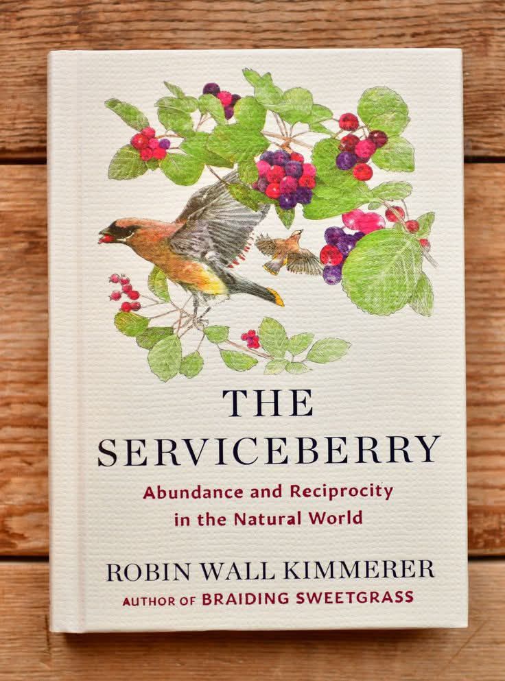 Have - What if the world wasn’t built on scarcity, but on gift? The ...