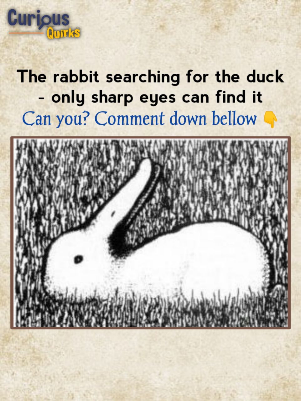 Curious - What's the First Image You See 🤔 Rabbit or Duck 👀🔍 # ...