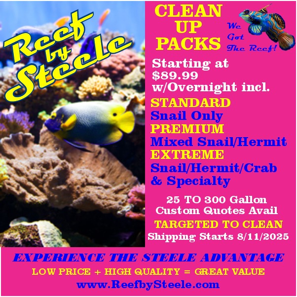 Reef By Steele