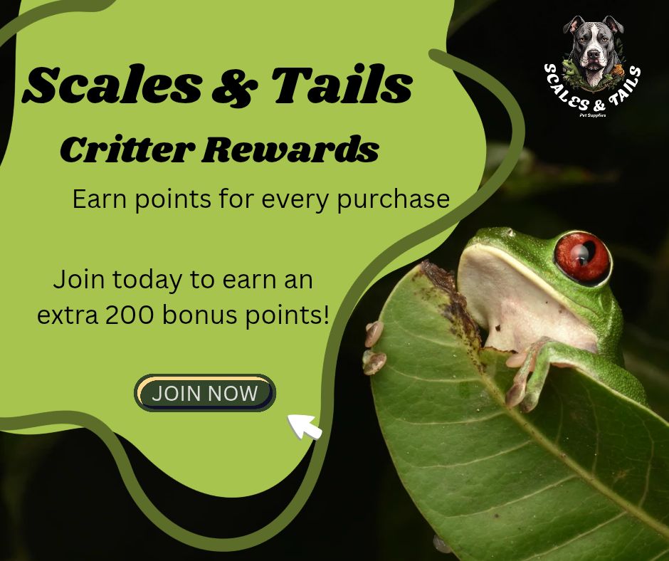 🐾 Critter Points Are Here!... - Scales & Tails Pet Supplies | Facebook