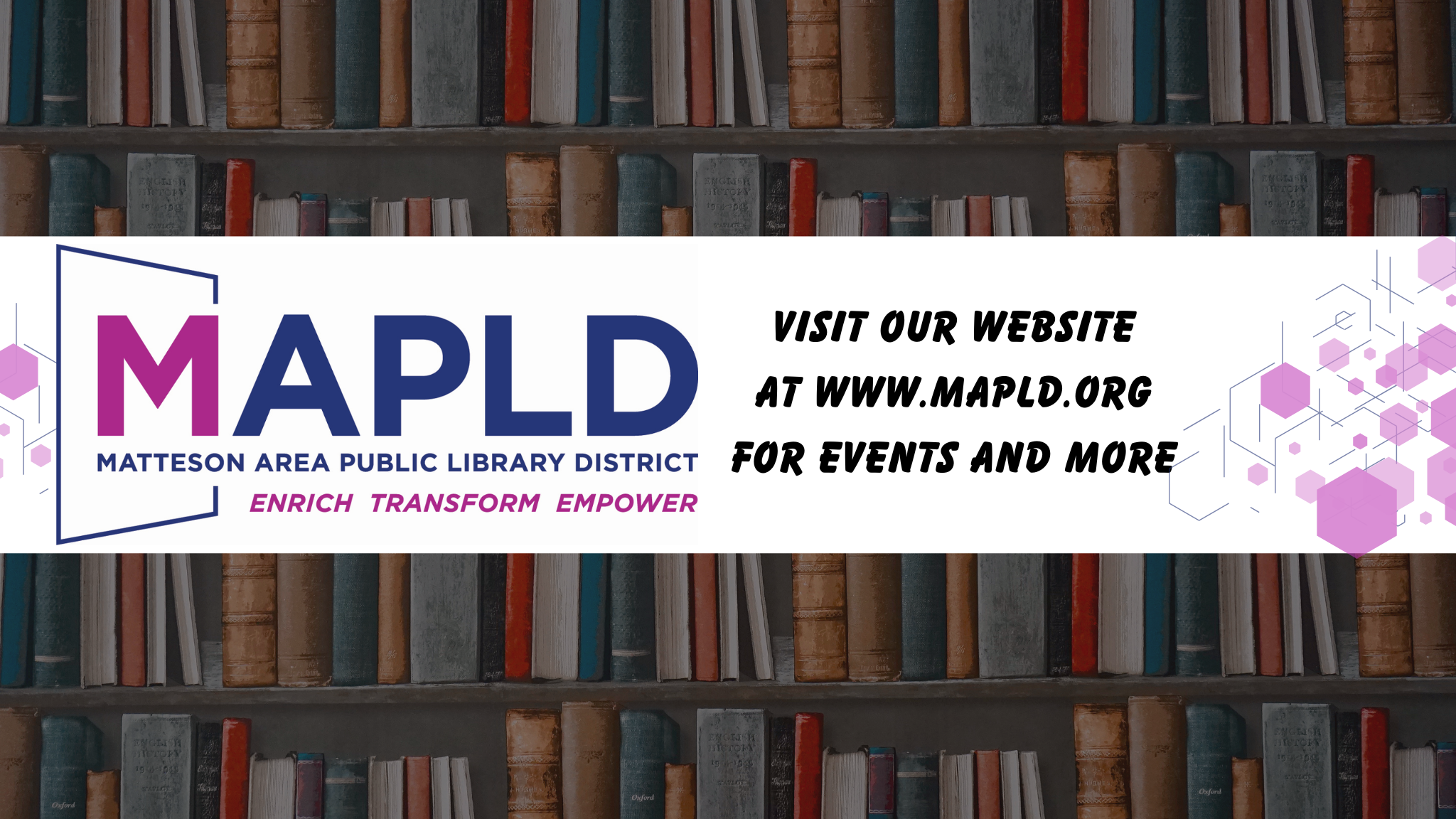 Matteson Area Public Library | Matteson IL