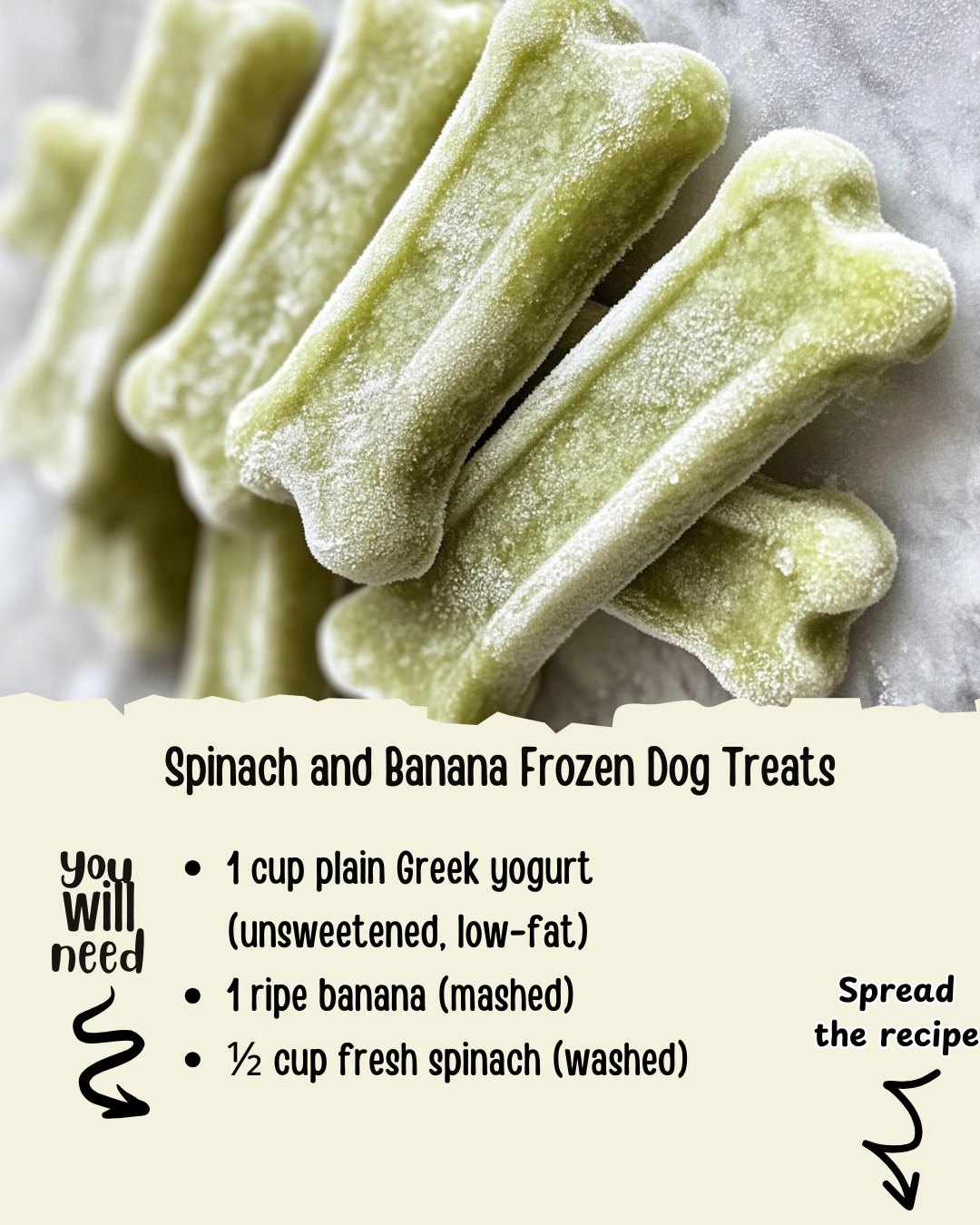 Can I Give My Dog Banana And Spinach