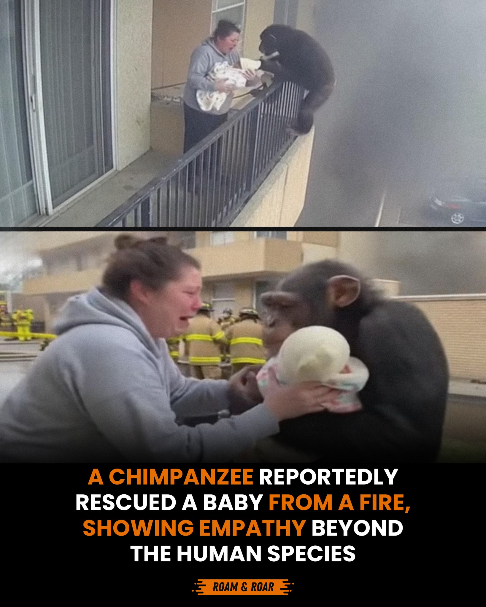 Roam - Security footage from a building fire captured an extraordinary ...