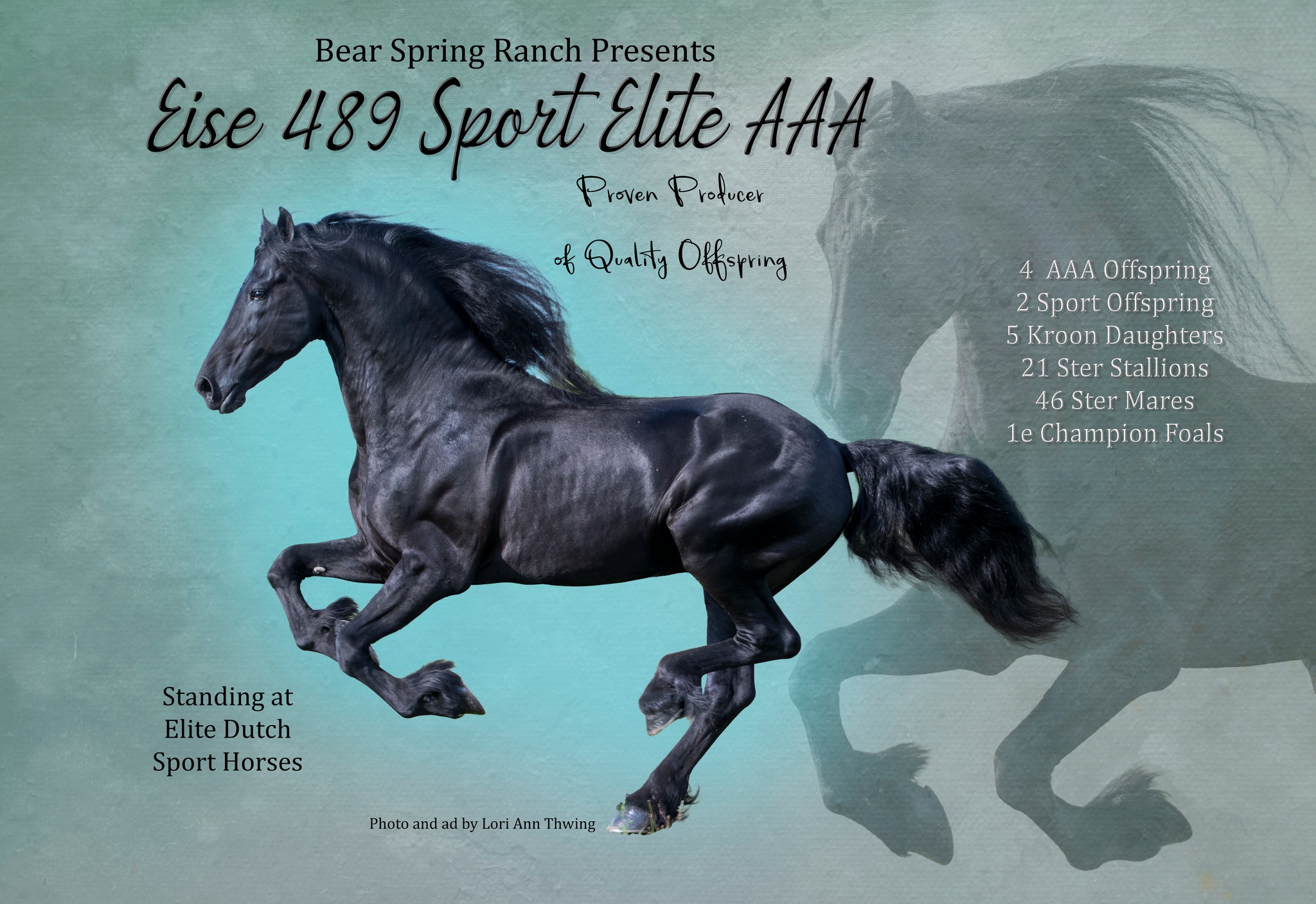 Breeding season is here! Eise produces amazing offspring including