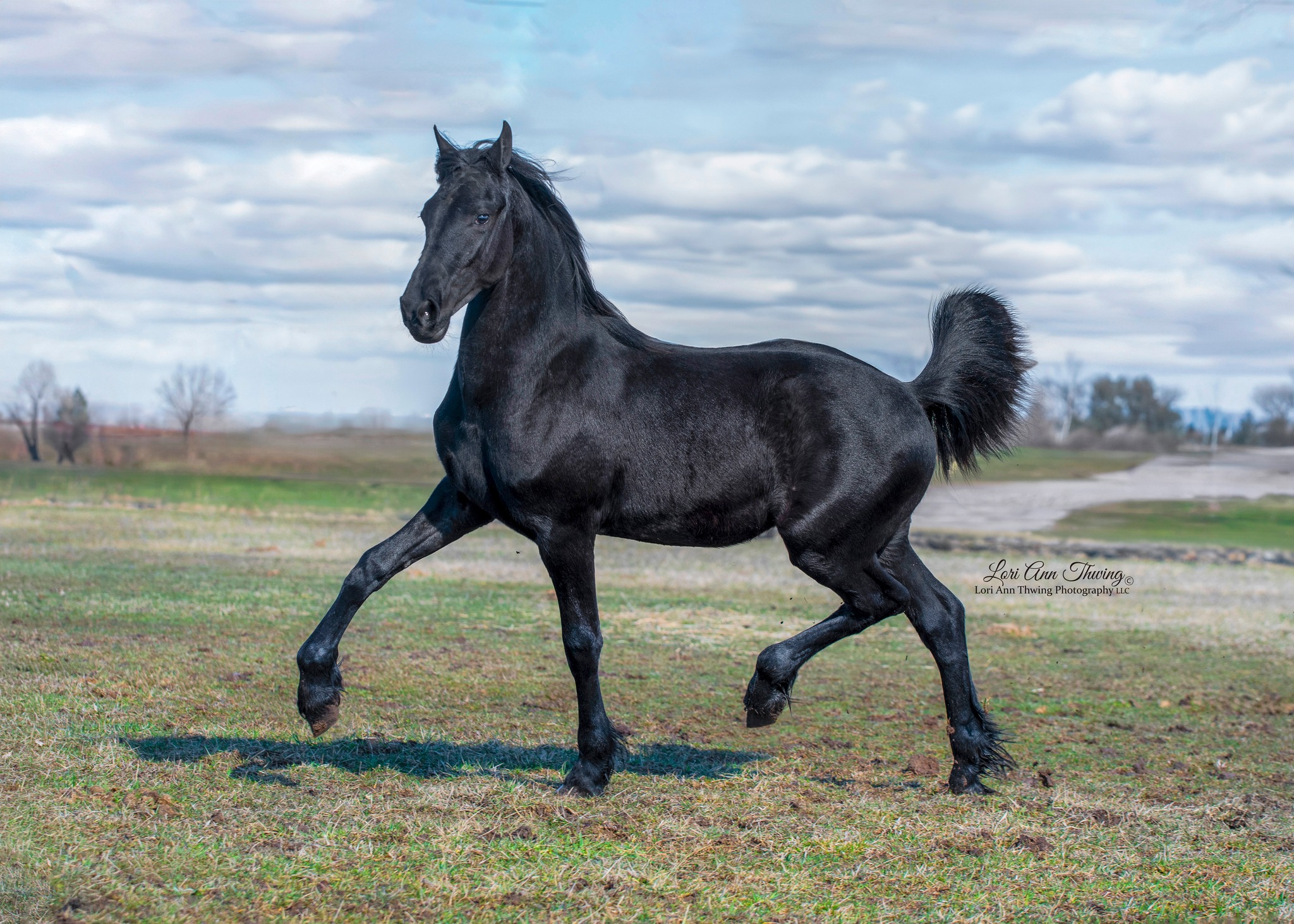 Breeding season is here! Eise produces amazing offspring including