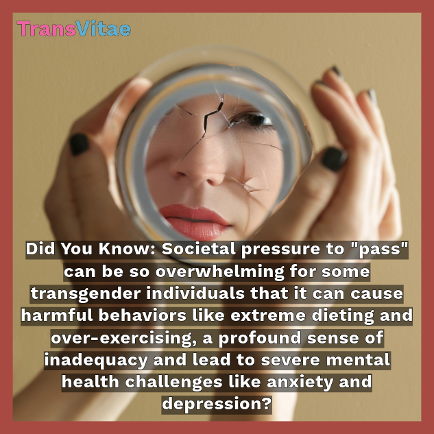 Transvitae