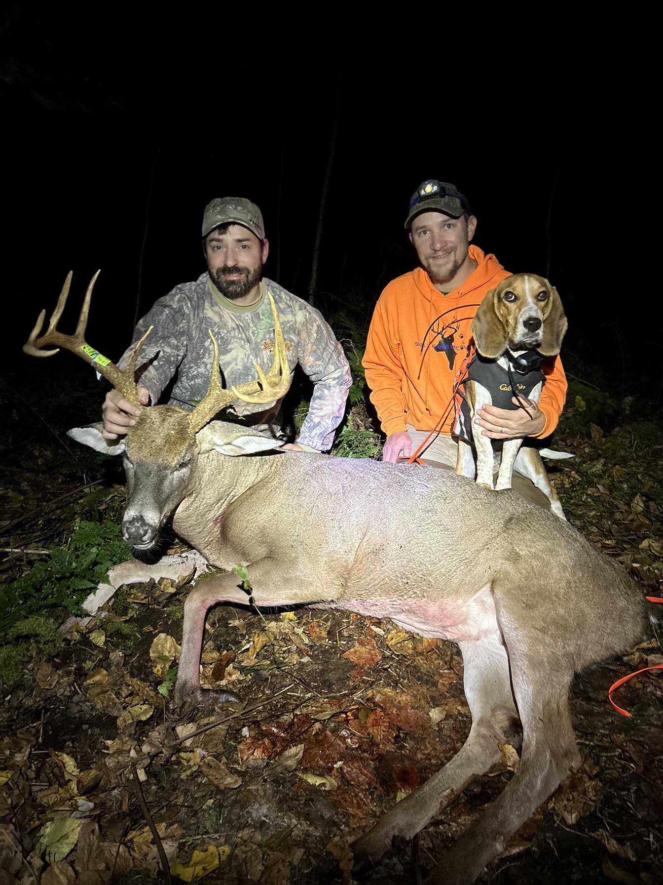 Falls Harvest... - Falls Harvest Taxidermy & Tannery