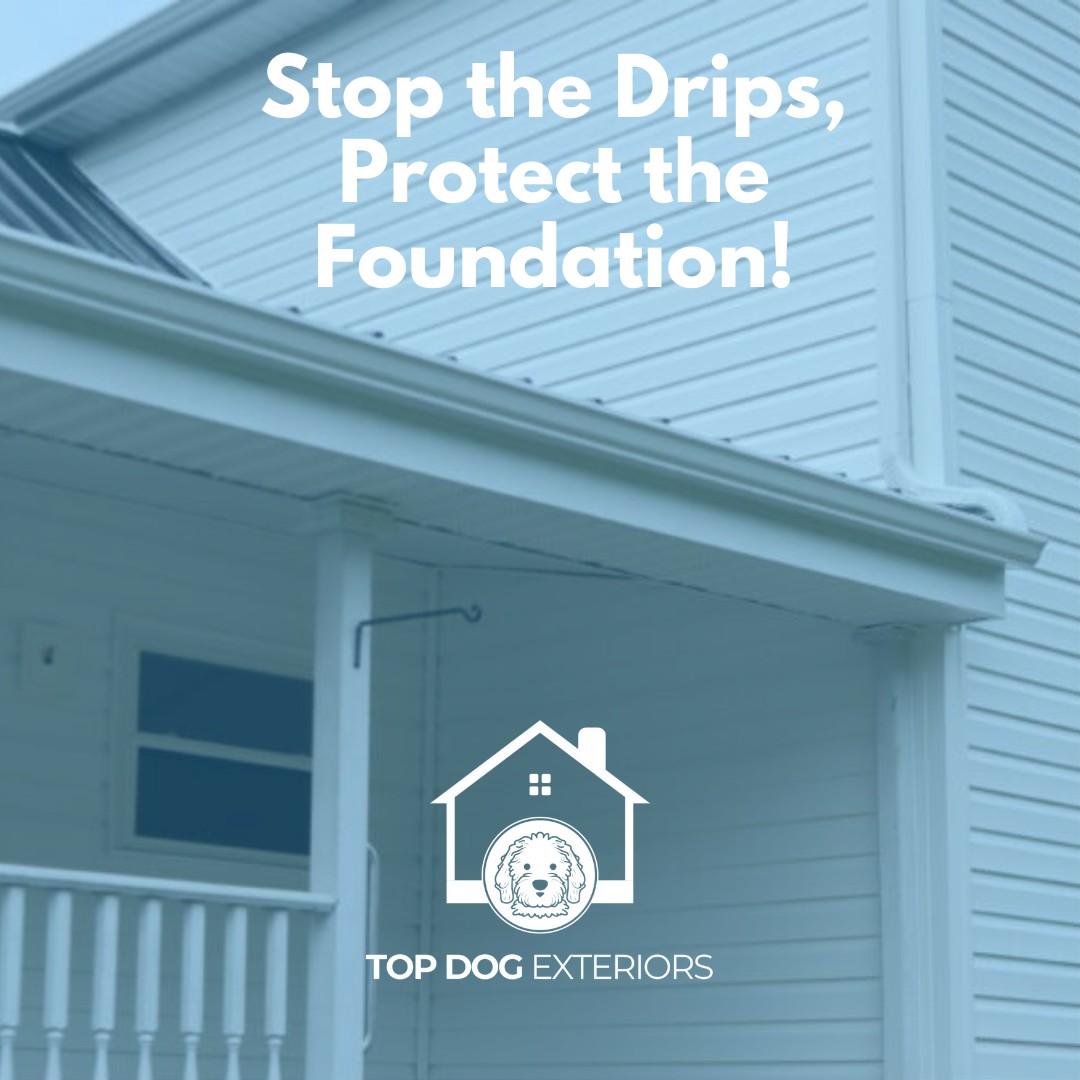 💧 Stop the Drips, Protect the... - Top Dog Exteriors | Facebook