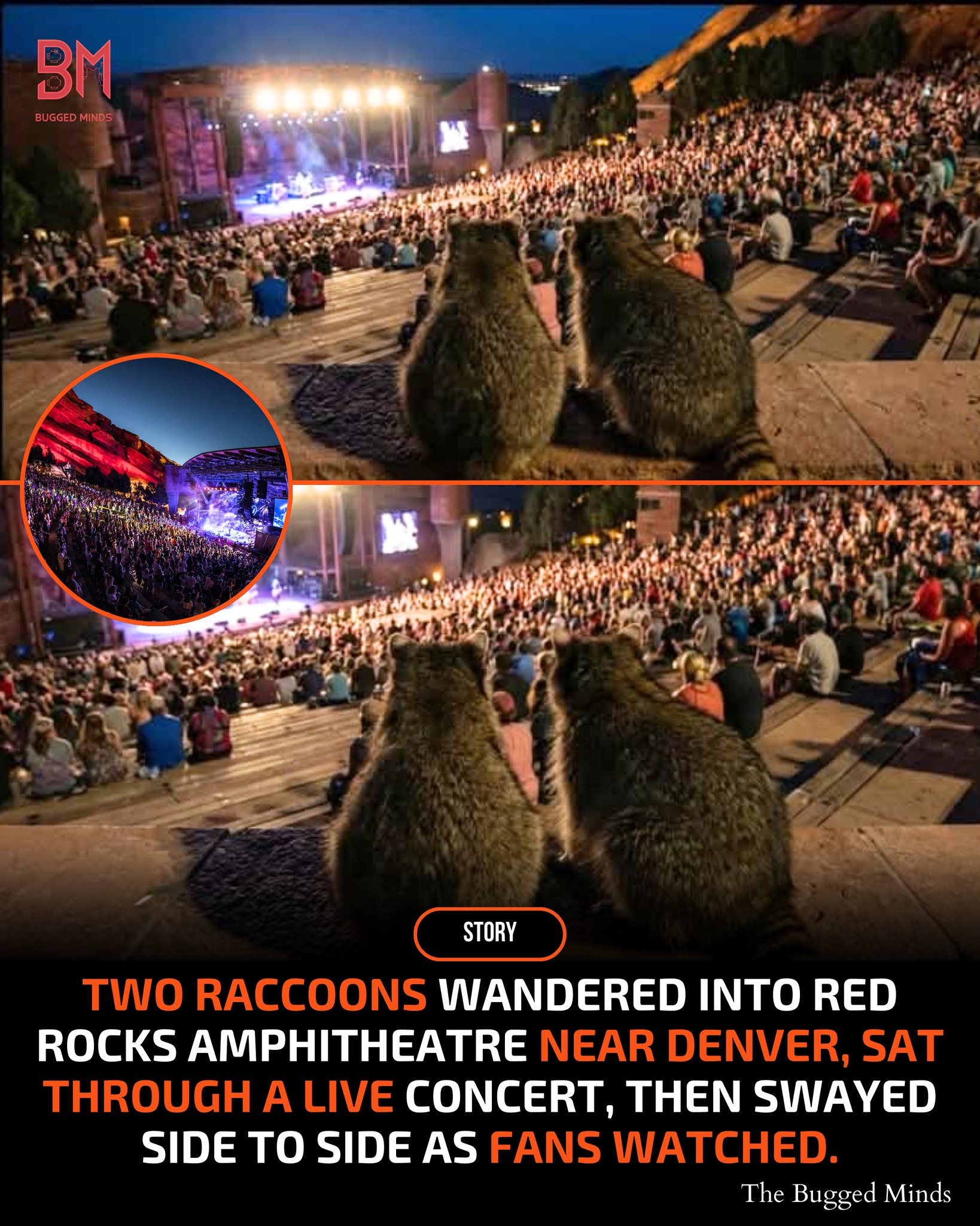 Concertgoers at Red Rocks Amphitheatre... - DJAbhishekBarhaj | Facebook
