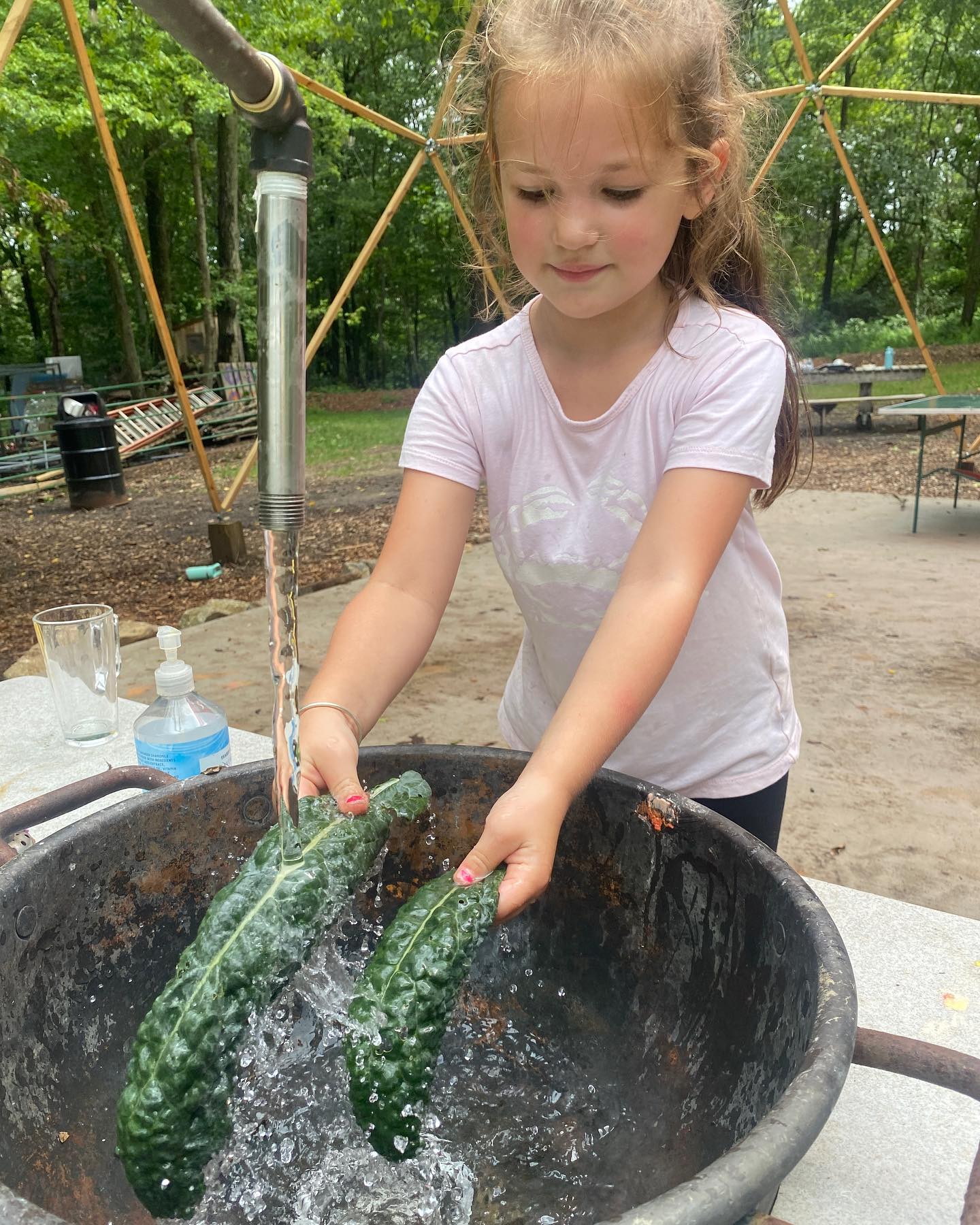 Kids Rewilding closed out the... - The Woods at Red Root Farm