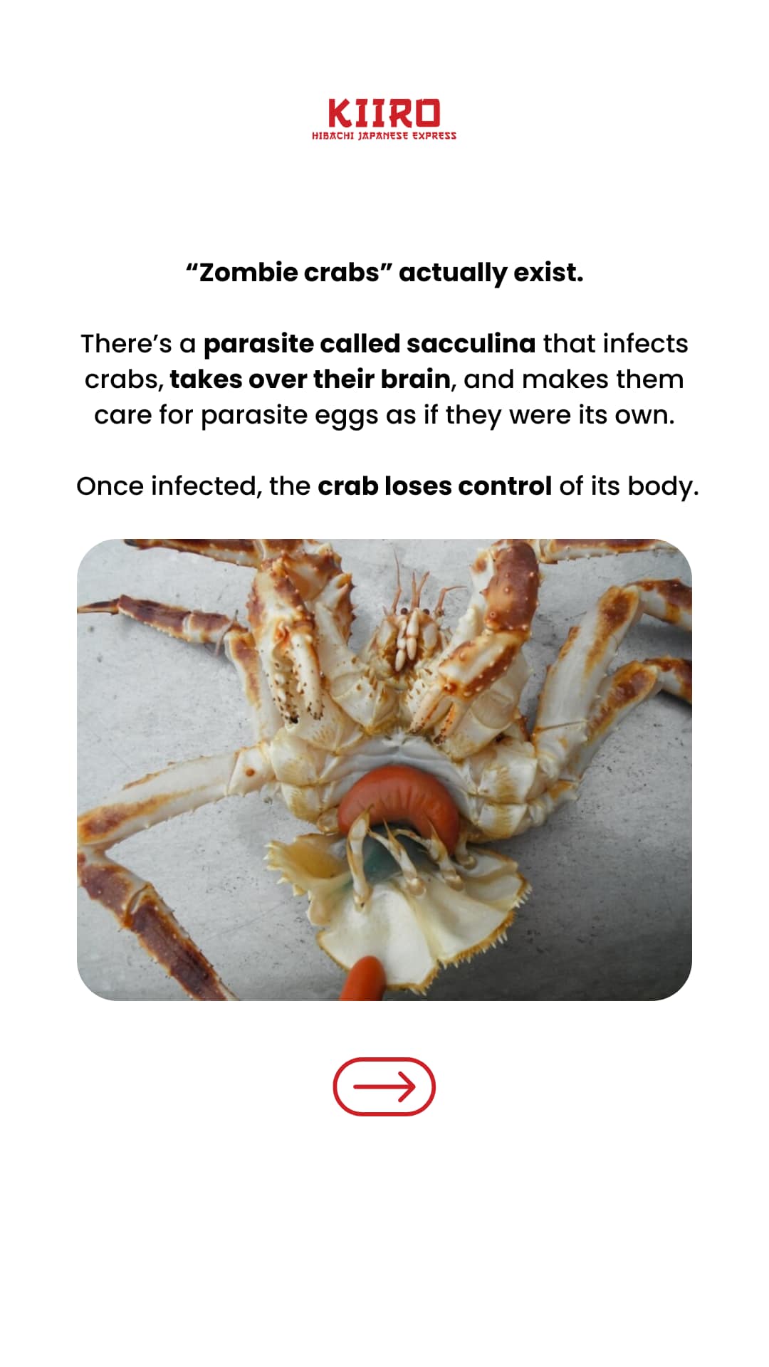 Crabs in nature:... - Kiiro Hibachi Japanese Express | Facebook