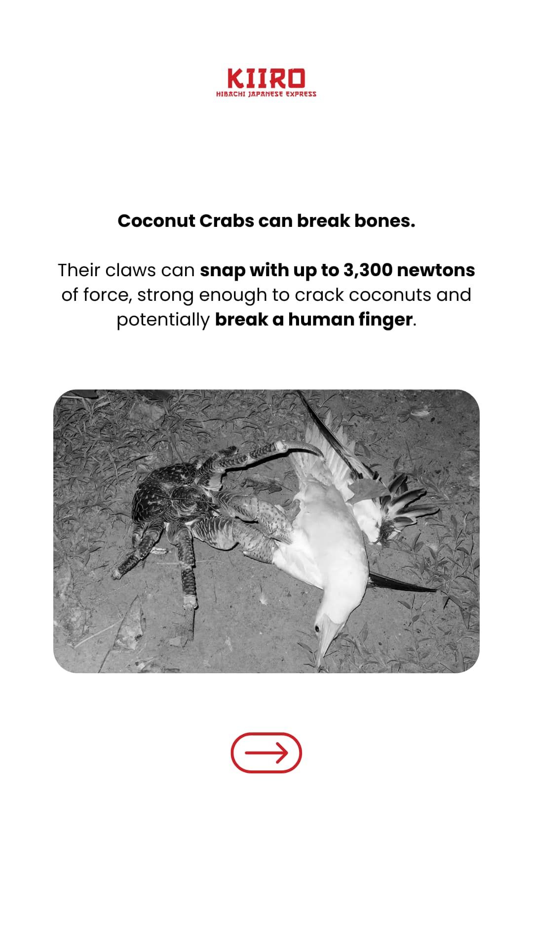 Crabs in nature:... - Kiiro Hibachi Japanese Express | Facebook