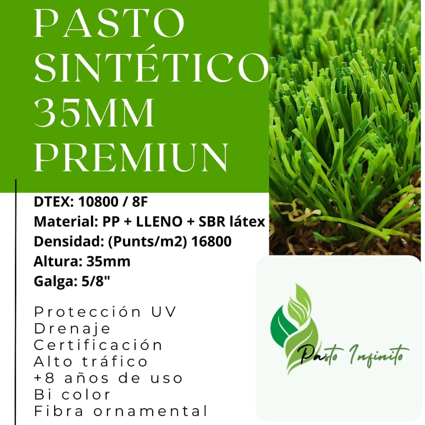 Pasto Infinito | La Serena