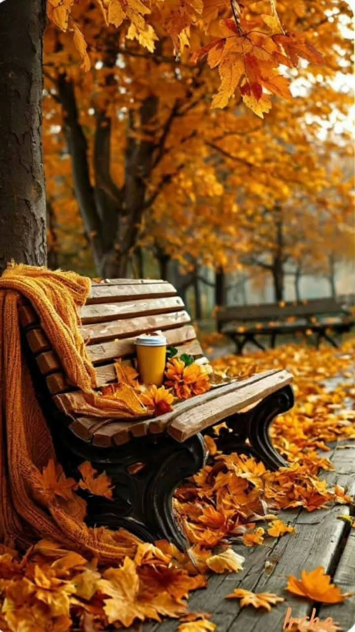 Autumn Photography Vibes🍂📸 | 