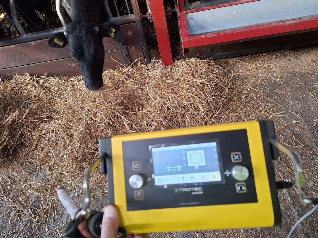 MN Leak Detection Downpatrick