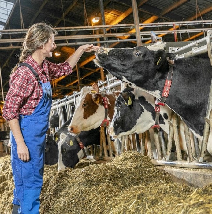 #farmmilk #cows | ID Me | Facebook