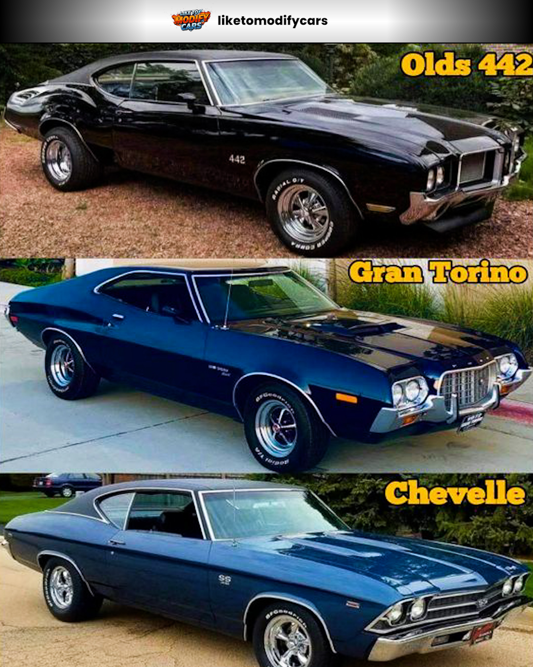 Roman's American muscle car