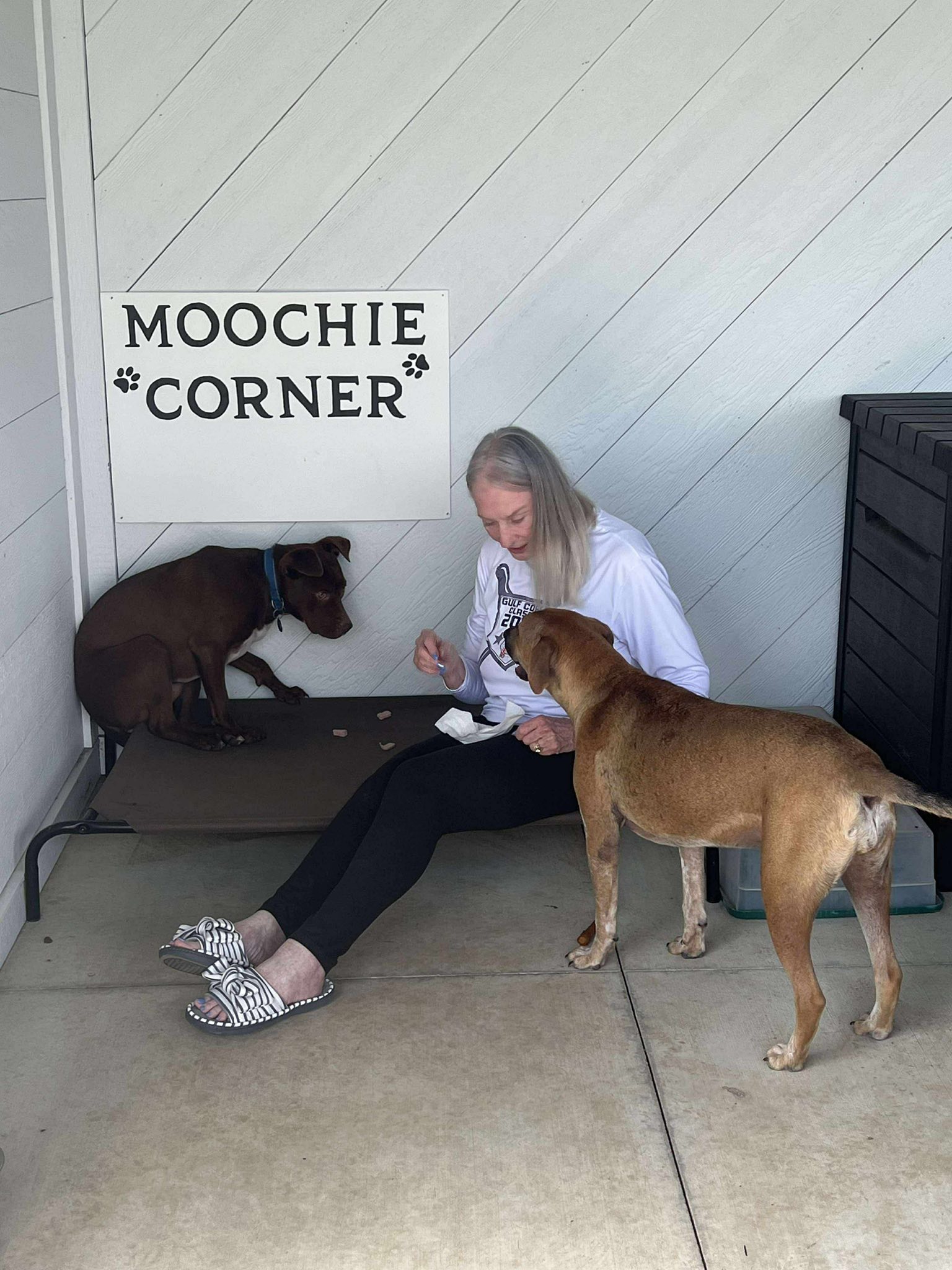 Jak's Second Chance... - Jak's Second Chance Rescue Ranch