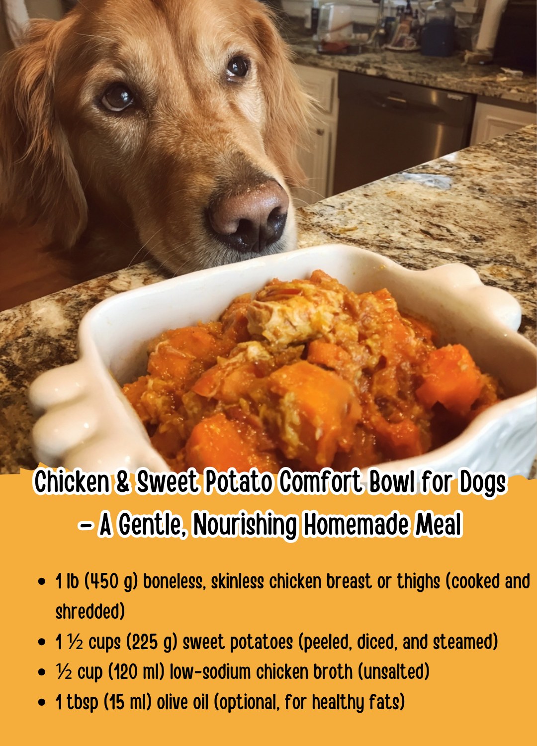 Photo inspiration: Fresh Look at Homemade Dog Food Recipes Chicken Sweet Potato Comfort Bowl For