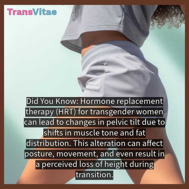 Transvitae