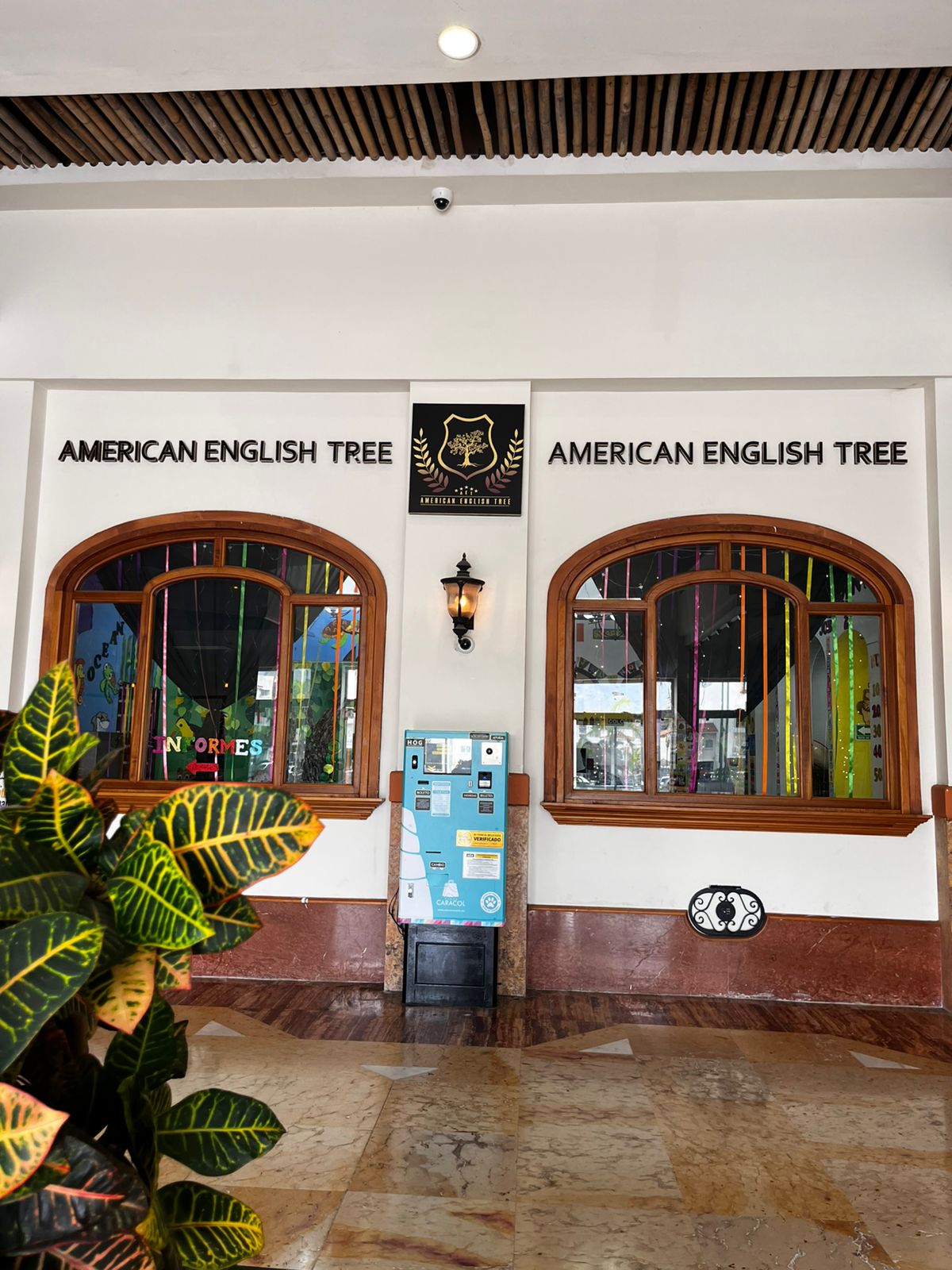 American English Tree PV | Puerto Vallarta