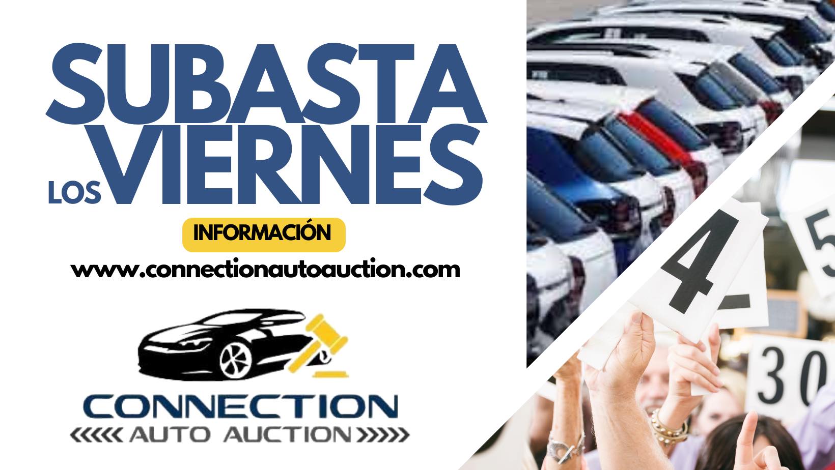Connection Auto Auction | San Diego CA